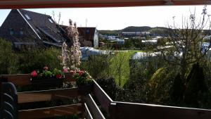 Природа в окрестностях апартаментов/квартиры +16 фотографий