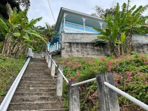 a set of stairs leading to a blue house at The Big Blue Condo in Roseau