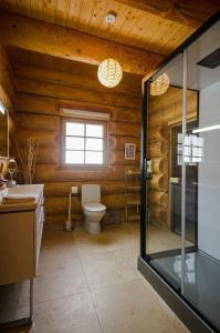uma casa de banho em madeira com um WC e um chuveiro em Ferienhaus in Feldberg Schwarzwald mit Privatem Pool em Neuglashütten