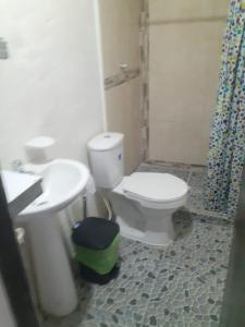ein Badezimmer mit einem weißen WC und einem Waschbecken in der Unterkunft APARTA ESTUDIO DONDE ANITA in Salento