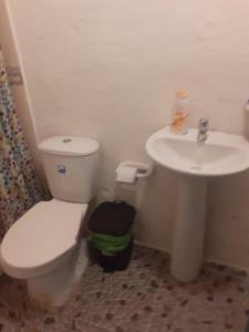 ein Badezimmer mit einem weißen WC und einem Waschbecken in der Unterkunft APARTA ESTUDIO DONDE ANITA in Salento