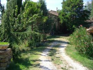 un camino de tierra frente a una casa con árboles en Ferienhaus für 4 Personen 1 Kind ca 80 qm in Piandimeleto, Marken Provinz Pesaro-Urbino en Piandimeleto