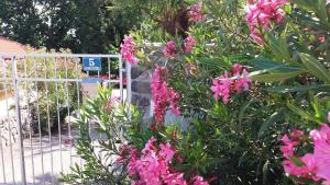 um portão com flores rosas ao lado de uma cerca em Wohnung in Opatija mit Möbliertem Balkon und Meerblick em Opatija