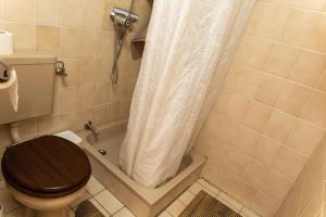 a bathroom with a toilet with a shower curtain at Ferienwohnung mit zwei Schlafzimmern und Balkon in Weißenstadt