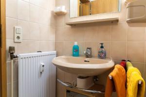 a bathroom with a sink and a mirror and towels at Ferienwohnung mit zwei Schlafzimmern und Balkon in Weißenstadt