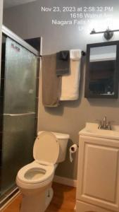 a bathroom with a toilet and a shower and a sink at Niagara View- Walnut Av 3 Bd & 2 F. Bth, Free 2prk in Niagara Falls
