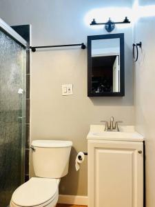 a bathroom with a toilet and a sink and a mirror at Niagara View- Walnut Av 3 Bd & 2 F. Bth, Free 2prk in Niagara Falls