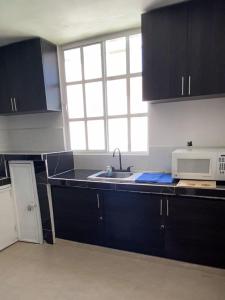 eine Küche mit schwarzen Schränken, einer Spüle und einer Mikrowelle in der Unterkunft Casa de descanso con piscina Galileos in León