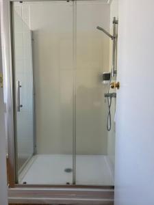 a shower with a glass door in a bathroom at Tudor Motor Lodge in Hamilton