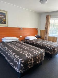 - une chambre d'hôtel avec 2 lits dans l'établissement Tudor Motor Lodge, à Hamilton