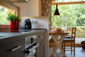 a kitchen with a stove and a table with a chair at FORSTGUT - Raum für wertvolle Zeit in Regen