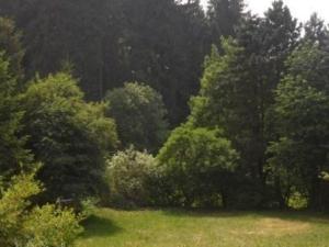 grupa drzew na polu z zieloną trawą w obiekcie Ferienhaus in Kuhklingen mit Großer Terrasse w mieście Wald-Michelbach