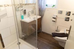 a bathroom with a shower and a sink and a toilet at Tolles Appartement in Weißenstadt mit Offenem Kamin in Weißenstadt