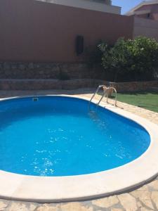 una gran piscina de agua azul en un patio en Strandnahe Ferienwohnung mit Balkon und Gemeinschaftspool, in der Nähe des Naturparks Velebit en Cesarica