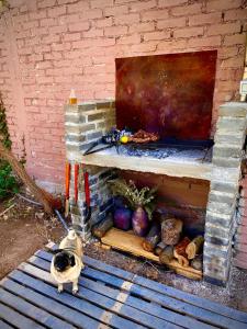 a cat standing on a bench next to a fireplace at Besares 722 in Chacras de Coria