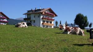 un groupe de vaches pondant dans l'herbe devant un bâtiment dans l'établissement Herrliches Appartement ideal für Familien, à Maranza