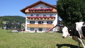 une vache debout dans un champ devant un bâtiment dans l'établissement Herrliches Appartement ideal für Familien, à Maranza