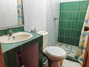 a green bathroom with a toilet and a sink at Bioluminiscencia Hostel Tours - South in Paquera
