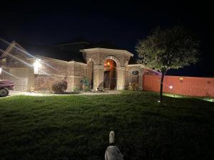 a dog sitting in front of a house at night at Humble Home in San Antonio