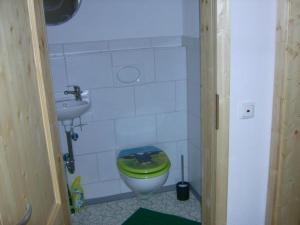 ein Badezimmer mit grünem WC und Waschbecken in der Unterkunft Direkt am Waldrand gelegene Ferienwohnung, ideal für Wanderer im Sommer und Wintersportler in der kalten Jahreszeit in Oberstaufen