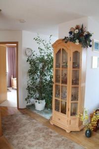 einem Holzschrank in einem Wohnzimmer mit einer Pflanze in der Unterkunft Große Ferienwohnung in Rauenstein mit Garten, Terrasse und Grill und Panoramablick in Rauenstein