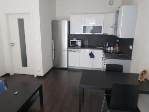 eine Küche mit einem Kühlschrank aus Edelstahl und einem Tisch in der Unterkunft Private, spacious apartement close to city centre in Moravská Ostrava