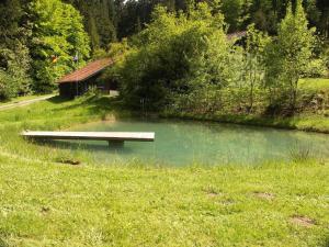einem Teich mit einer Bank in der Mitte eines Feldes in der Unterkunft Ferienwohnung im Bayerischen Wald für 5 Personen in Kollnburg