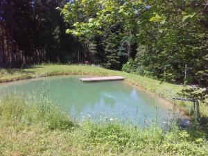 un pequeño estanque en medio de un campo en Ferienwohnung im Bayerischen Wald für 5 Personen, en Kollnburg