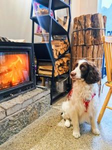 a dog is sitting in front of a fireplace at Whispering Mountains Boutique Hotel in Zhangjiajie