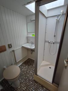 a bathroom with a shower and a toilet and a sink at Room in Guest room - Single room with shared bathroom and kitchen in Hundsbach in Forbach