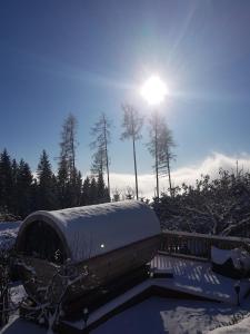 Ferienhaus für 2 Personen ca 70 qm in Wolfsberg, Kärnten Saualpe בחורף