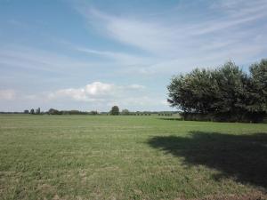un grand champ ouvert avec un arbre au milieu dans l'établissement Ferienhaus am Meer mit Polderblick im Naturpark Zeeland, à Stavenisse