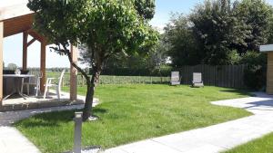 une cour avec deux chaises et une table et un arbre dans l'établissement Ferienhaus am Meer mit Polderblick im Naturpark Zeeland, à Stavenisse