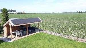 un kiosque au milieu d'un champ de fleurs dans l'établissement Ferienhaus am Meer mit Polderblick im Naturpark Zeeland, à Stavenisse