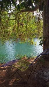 a chair under a tree next to a lake at Paraíso Verde in Tambaca