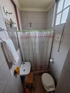 a bathroom with a shower and a toilet and a sink at Aires de Tango Hostel in Buenos Aires