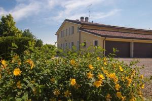 een huis met gele bloemen ervoor bij Lavanda - Studio-Apartment auf einem Bauernhof im Grünen zwischen Reggio und Modena in Scandiano