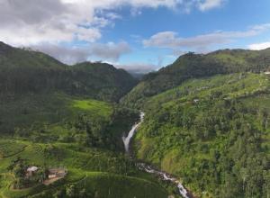 - une vue aérienne sur une rivière dans une vallée montagneuse dans l'établissement Attukad waterfalls near individual 4 Rooms cottage 4BHK 'attukad tea estate', à Devikolam 16 autres photos
