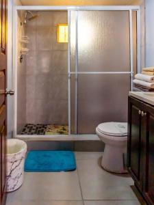 un baño con ducha y WC en ROCKY POINT DELPHINE HOME, COZY,POOL AFFORDABLE., en Puerto Peñasco