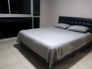 ein Bett mit zwei Kissen darauf in einem Schlafzimmer in der Unterkunft Departamento vista al rio. in Guayaquil