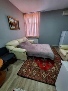 a bedroom with a bed and a couch and a rug at ARMONIE AIRPORT Studio in Băcioi