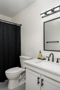 a bathroom with a toilet and a sink and a mirror at Emerald Retreat - Central & Stylish - 2 BR/2 BA in Winston-Salem