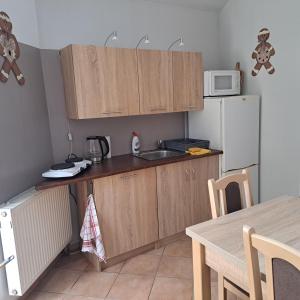 uma pequena cozinha com um lavatório e um frigorífico em Noclegi Srebrna Góra em Srebrna Góra