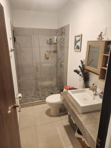 uma casa de banho com um chuveiro, um WC e um lavatório. em Dpto. coto privado con alberca em Mazatlán