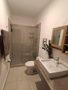 uma casa de banho com um chuveiro, um WC e um lavatório. em Dpto. coto privado con alberca em Mazatlán