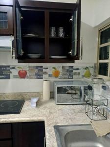 cocina con fregadero y microondas en hogar, dulce hogar 1 en Torreón