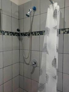 y baño con ducha y cortina de ducha. en hogar, dulce hogar 1, en Torreón