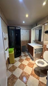 ein Bad mit einem WC und einem Waschbecken in der Unterkunft Résidence de montagne française in Aulnay-sous-Bois