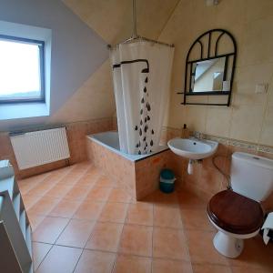 uma casa de banho com uma banheira, um WC e um lavatório. em Noclegi Srebrna Góra em Srebrna Góra