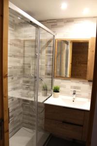 a bathroom with a shower and a sink at Les Chalets Margot - Chalets pour 6 Personnes 651 in Le Dévoluy